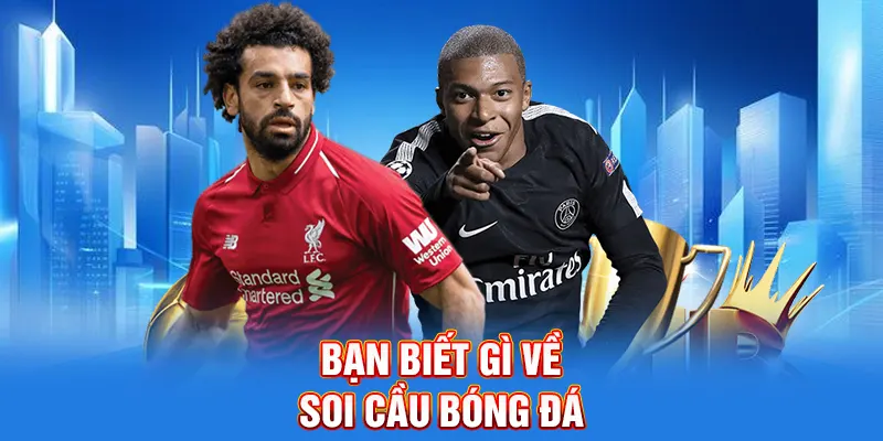 Bạn biết gì về soi cầu bóng đá