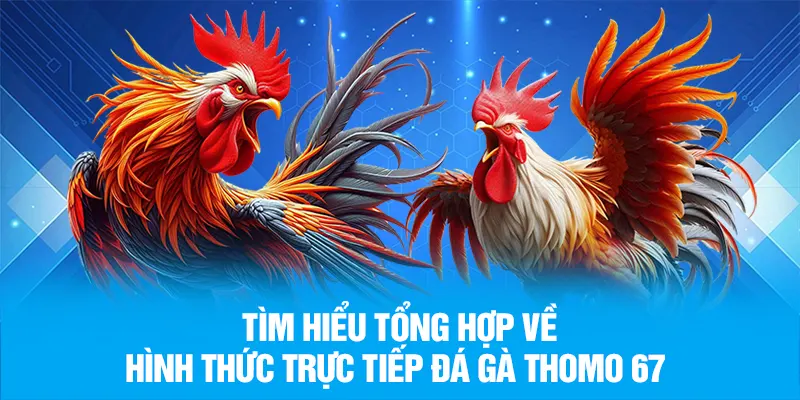 trực tiếp đá gà thomo 67