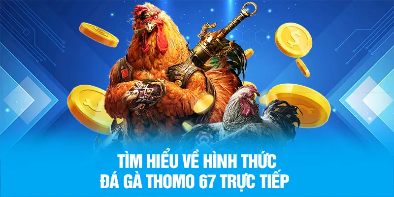 Tìm hiểu về hình thức đá gà Thomo 67 trực tiếp